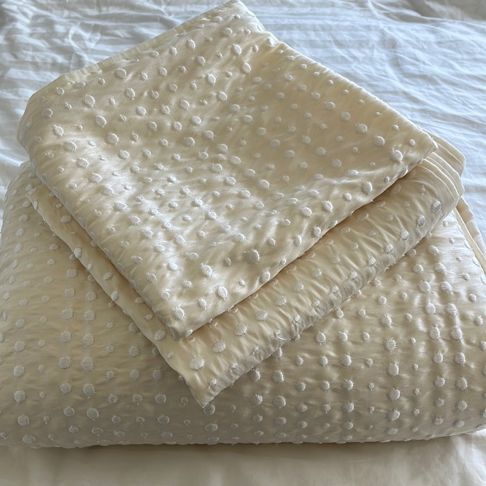 Hotel Collection King Duvet cover and 2 shams